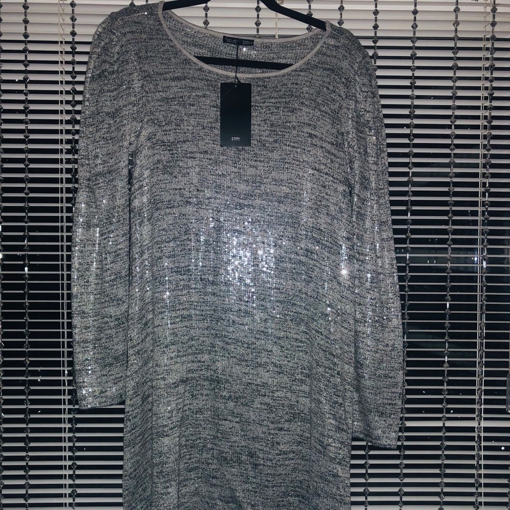 Z A R A NWT Glitter Dress SzM